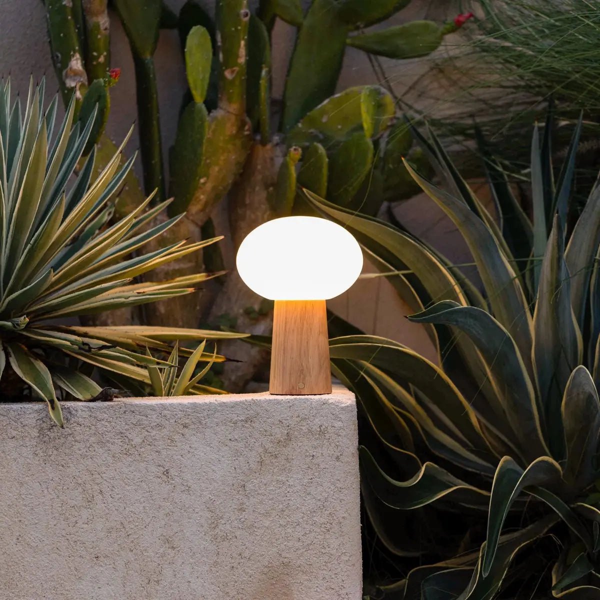 Sladdlös bordslampa Max – uppladdningsbar & dimbar | Tavellio
