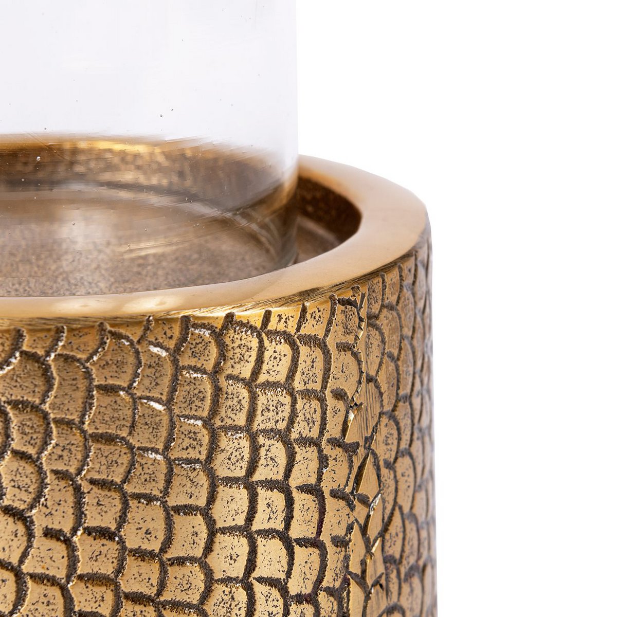 Croco Ljushållare i Mässing med Glas, Large